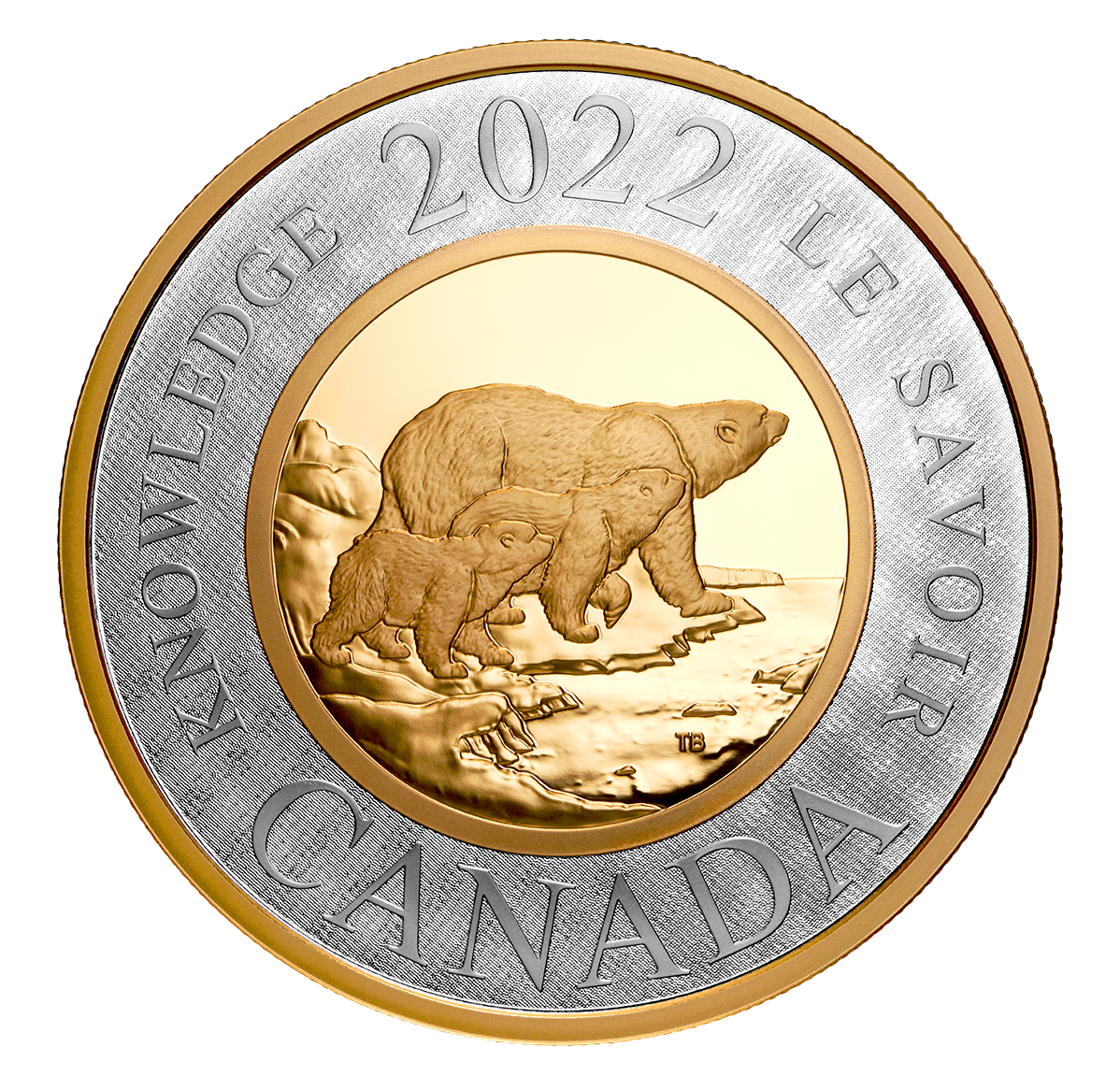 2 oz. Fine Silver Coin – Renewed Silver Toonie: Path of Knowledge