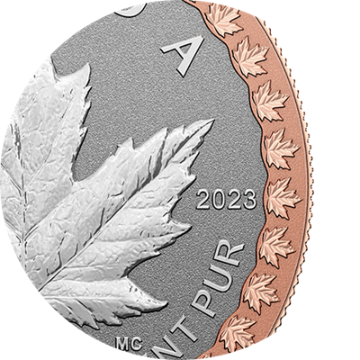 Feature Rose Gold US