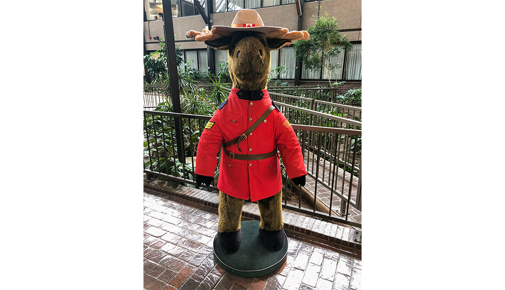 If you have ever visited our Winnipeg or Ottawa facility, you’ve probably met one of the Mint’s most famous members of security, and honorary member of the Royal Canadian Mounted Police (RCMP). At 5.6 feet tall, our wise moose has been keeping a watchful eye over our buildings, team members, and visitors for over 15 years!