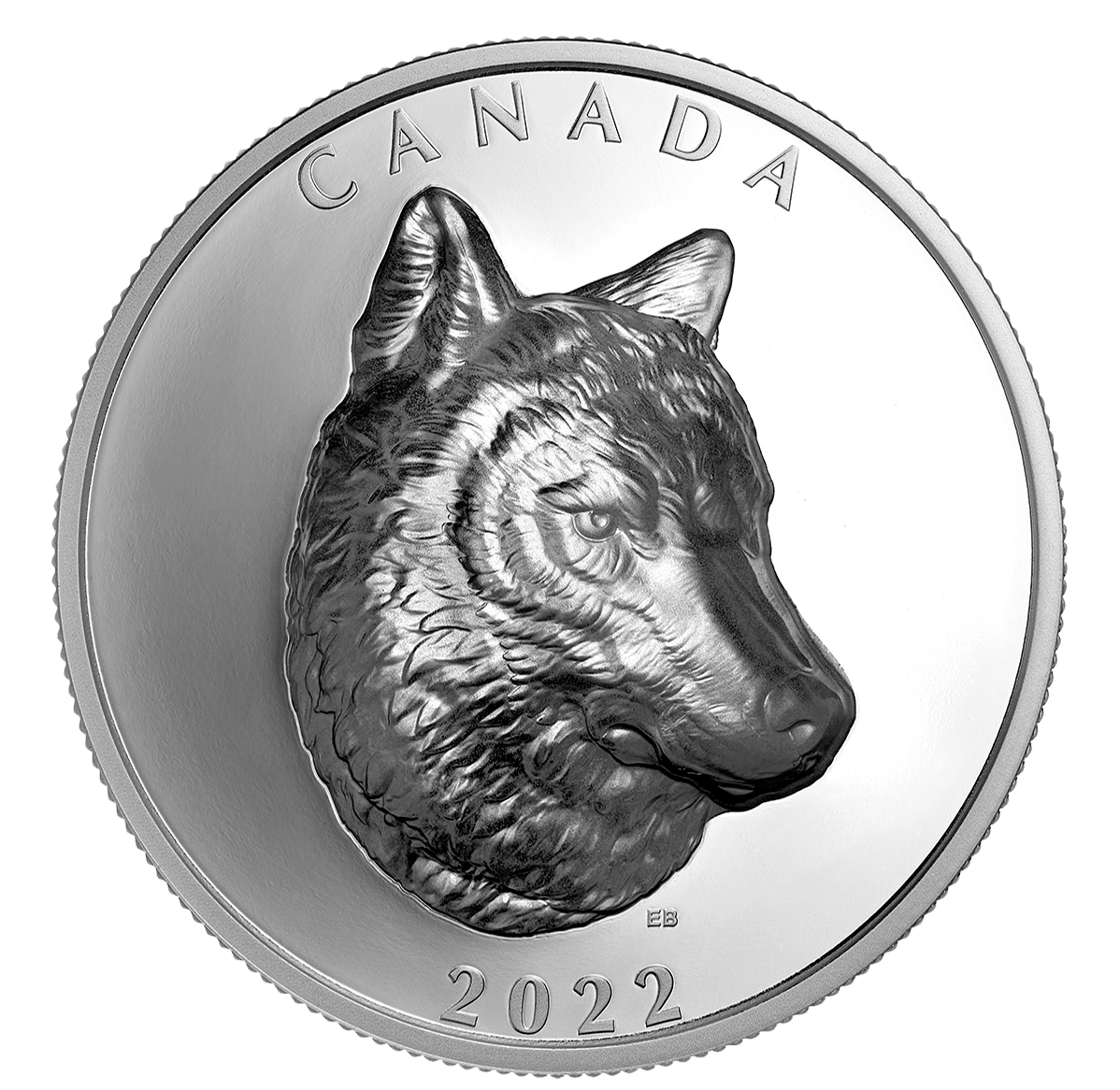 Pièce en argent fin au relief exceptionnel – Loup gris