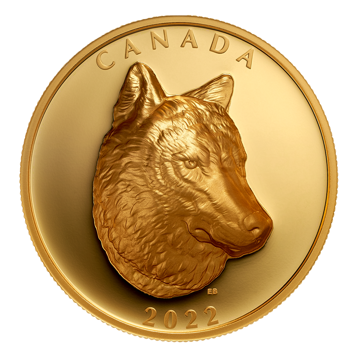 Pièce en or pur au relief exceptionnel – Loup gris