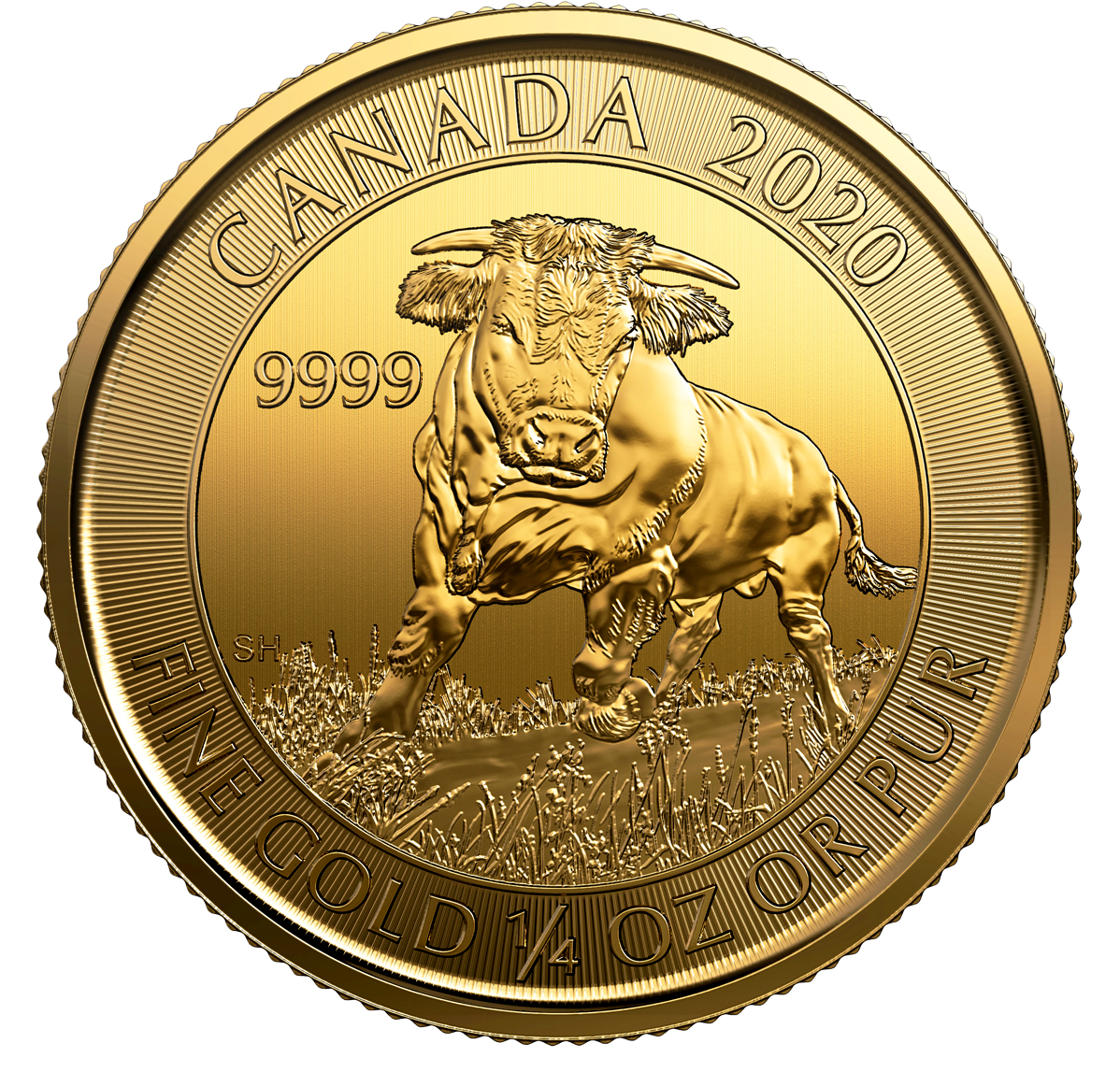 2020 $10 1/4 oz. 99.99% Pure Gold Coin - Bull (Bullion)