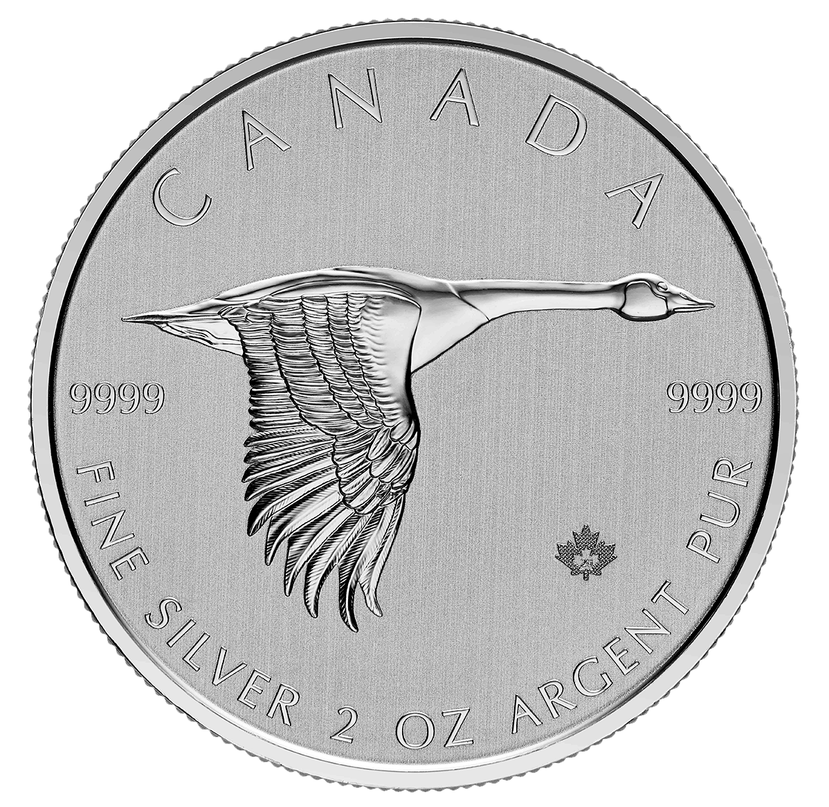 Pièce de 10 $ de 2 oz en argent pur à 99,99 % 2020 - Bernache du Canada (pièce d'investissement)
