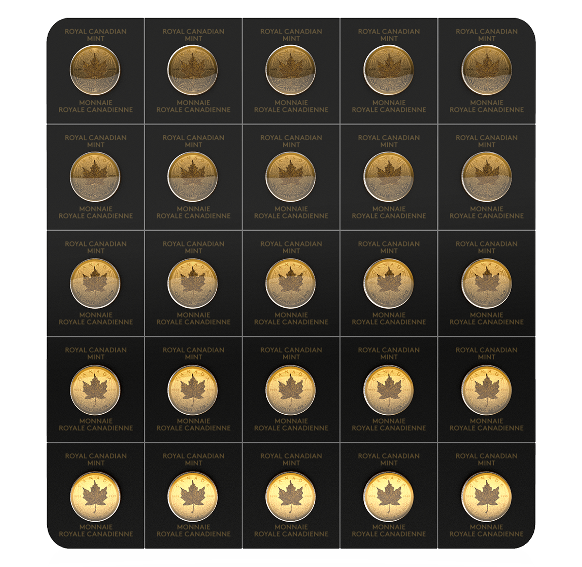 ORAUGRAMME25<sup>MC</sup> 2021 (pièce d'investissement FÉO 25 X 1 g) (pièce d'investissement)