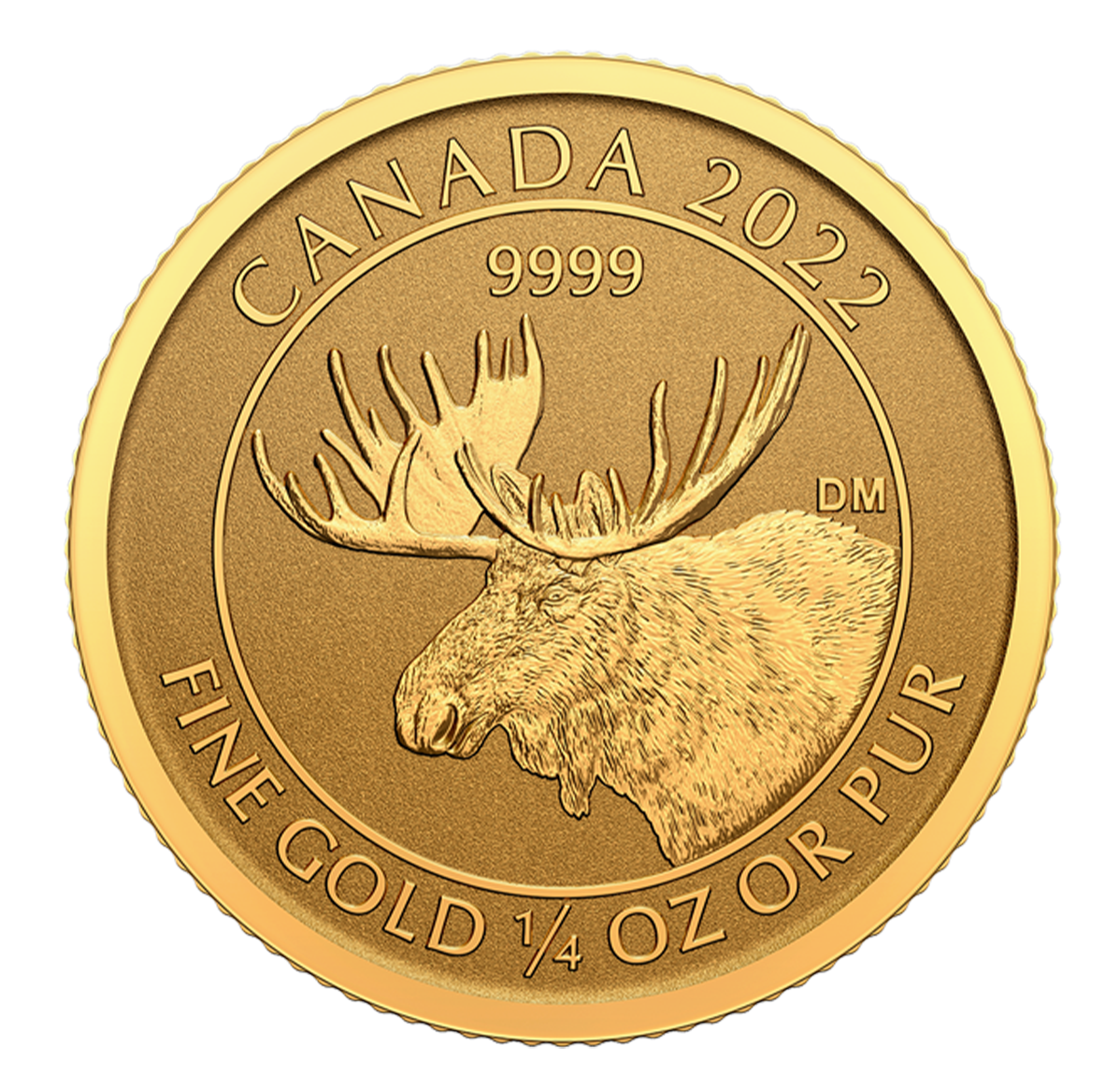 2022 $10 ¼ oz. 99.99% Pure Gold Coin - Moose (Bullion)